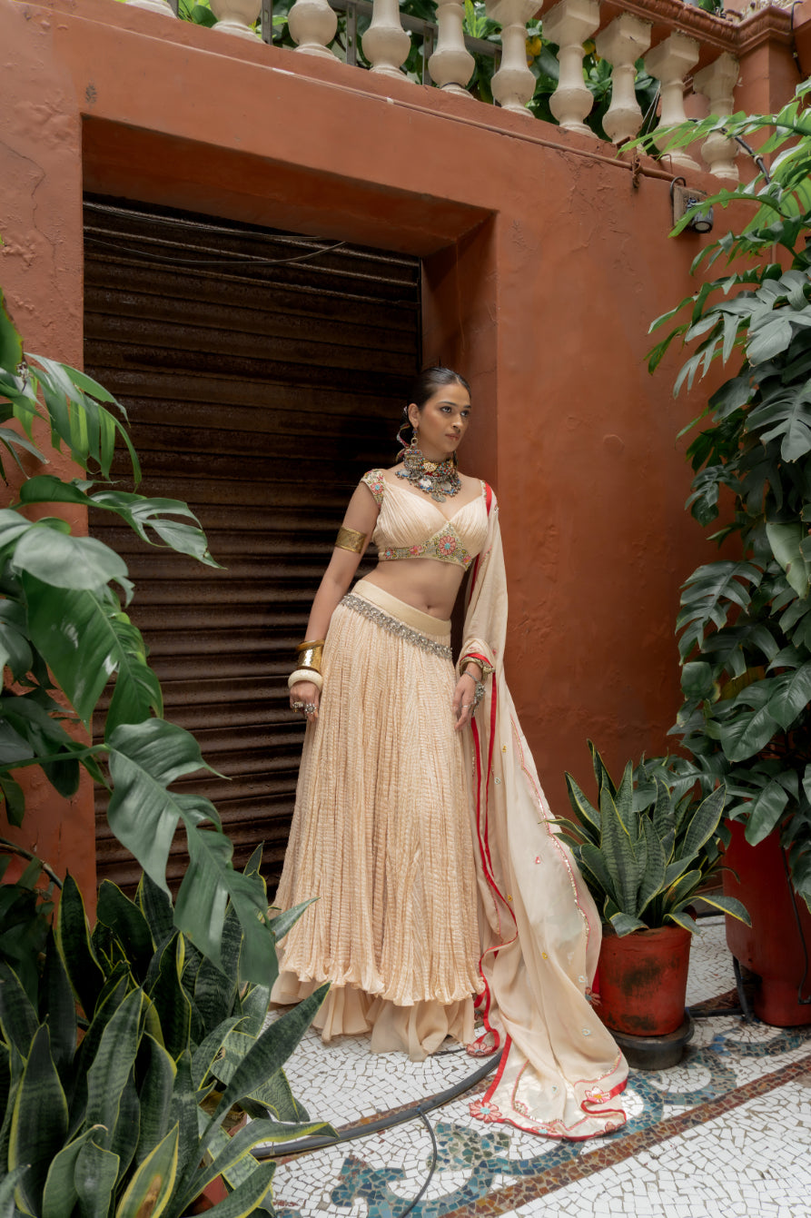 Beige Organza Lehenga Set (SS-431)