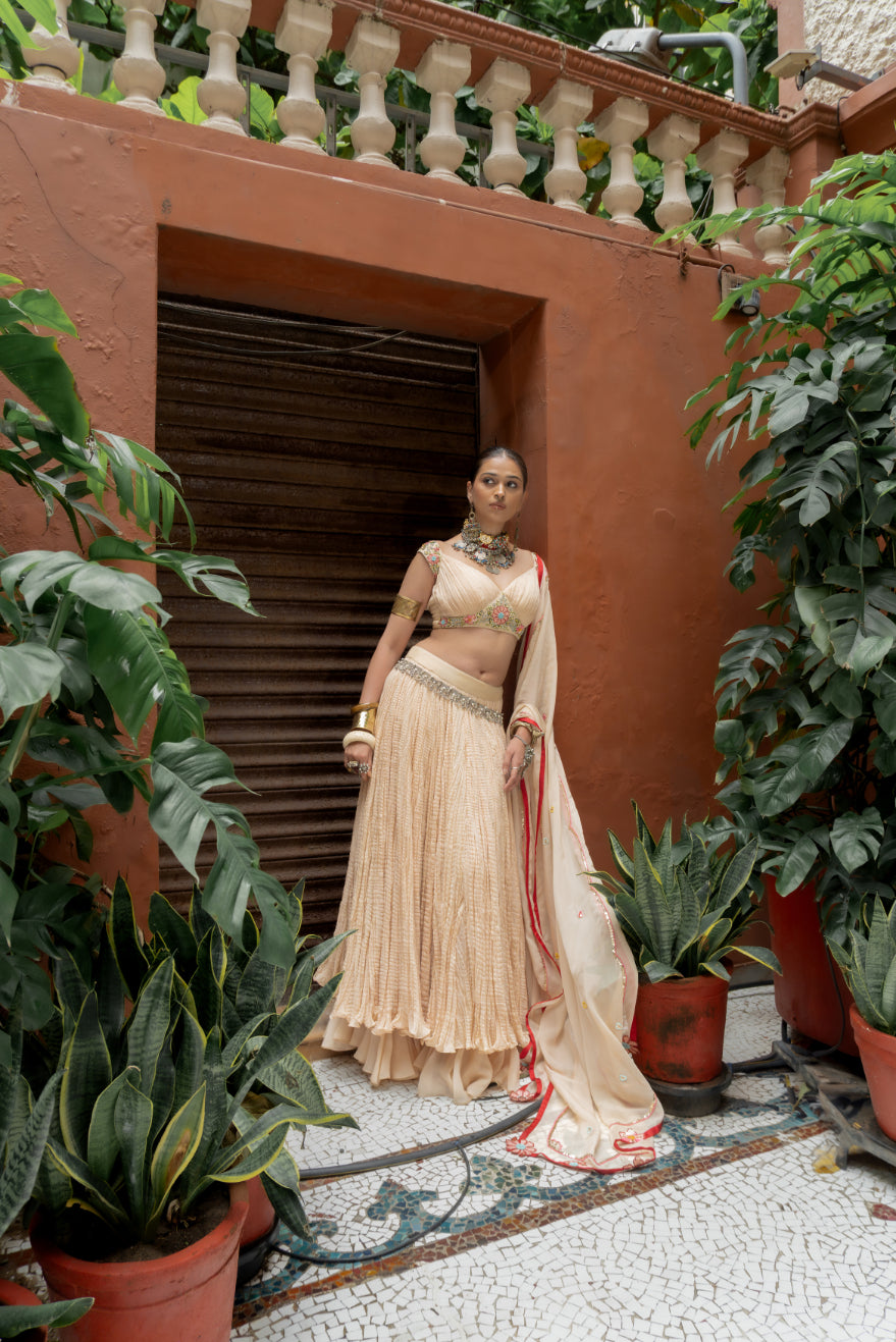 Beige Organza Lehenga Set (SS-431)